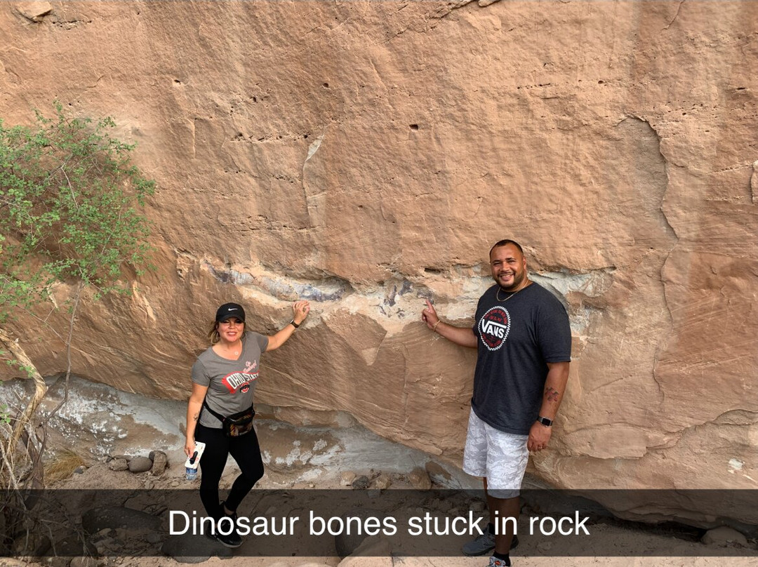 Sleeping Rainbow Adventures-托里必去景点