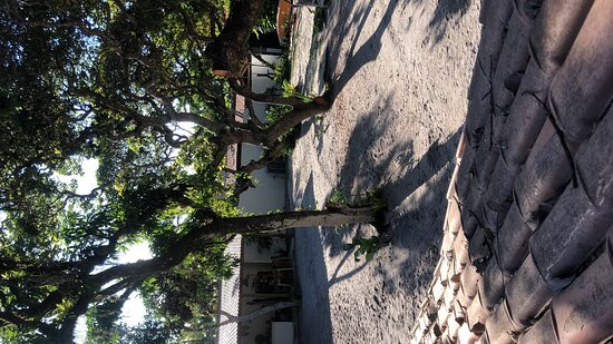 Villa Serena Caraíva主图