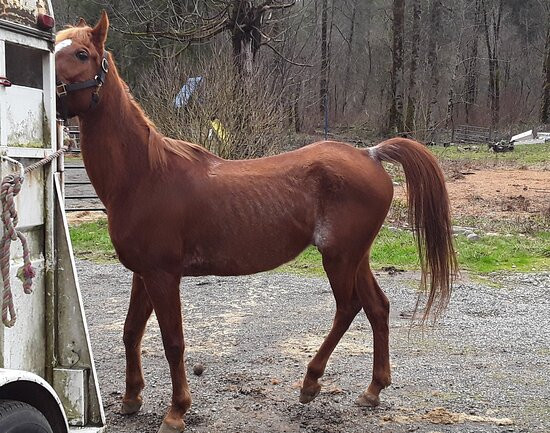 Misty Acres-Ravensdale必去景点