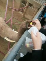 西霞口-荣成市必去景点