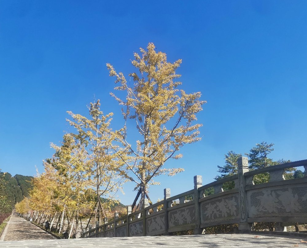 火山国家地质公园-腾冲县必去景点