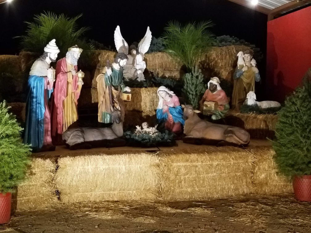 Vertuccio Farms-梅萨必去景点