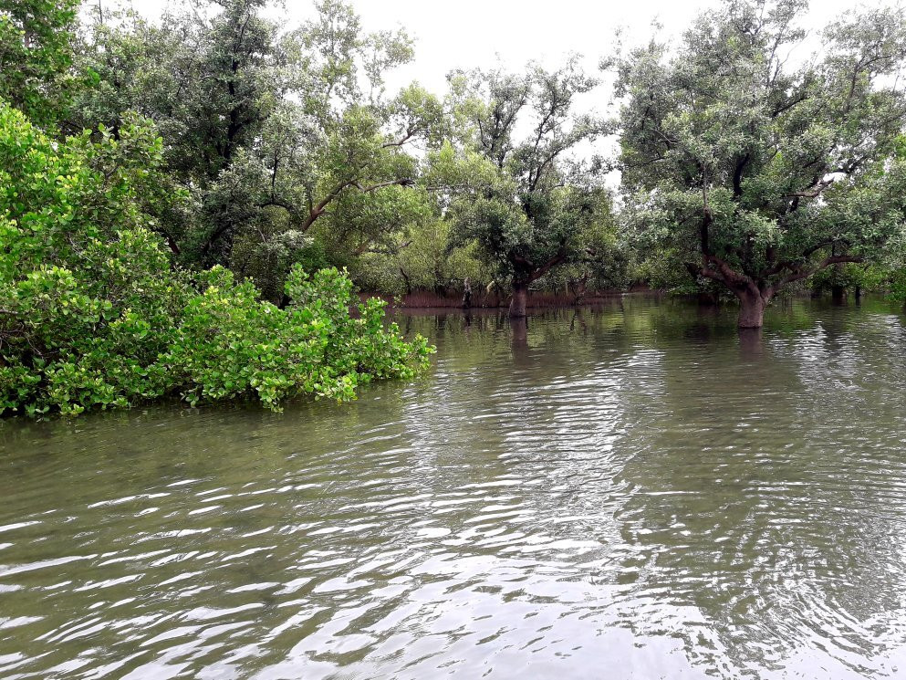Palina Greenbelt Ecopark-罗哈斯城必去景点