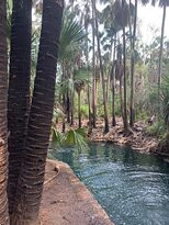 Elsey National Park-Mataranka必去景点