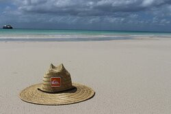 Tasman Venture - Day Tours-赫维湾必去景点