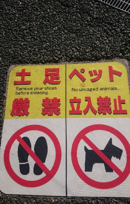 滨松花卉公园-滨松市必去景点