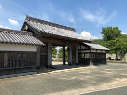 Ruins of Tokushima Castle-德岛市必去景点