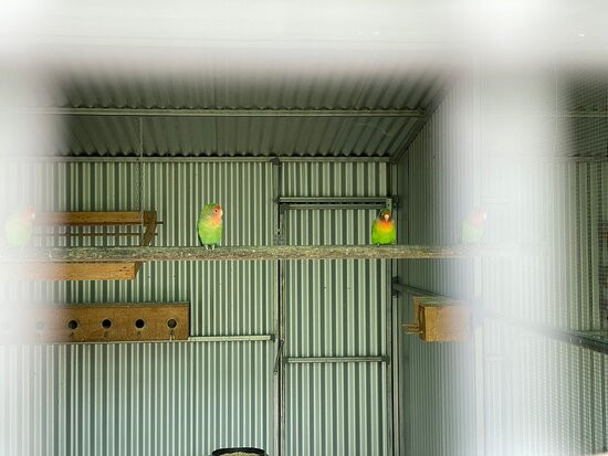 Fauna Park-Warracknabeal必去景点