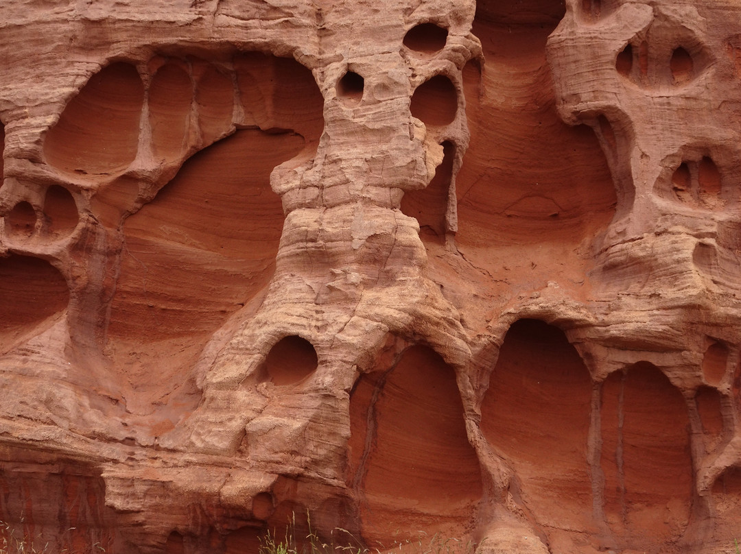 Budleigh Salterton Beach景点图片