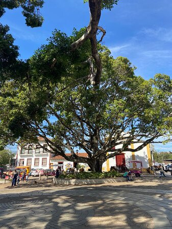 Largo das Forras景点图片