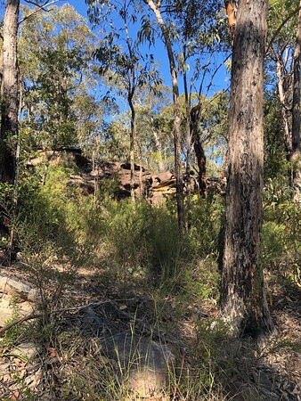 Rickard Road Fire Trail景点图片