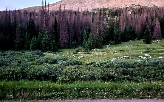 San Isabel National Forest-普韦布洛必去景点