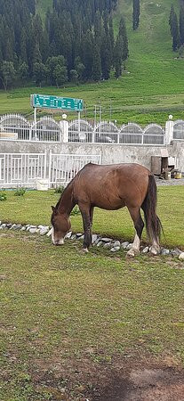 Imperial Resorts主图