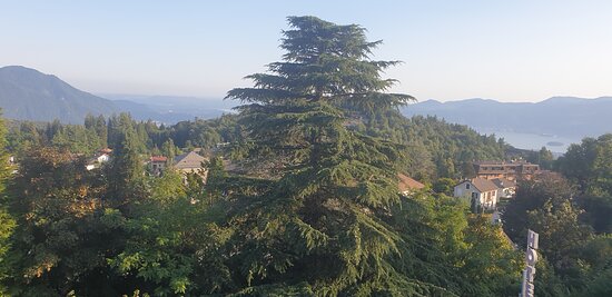 Hotel Villa Rosy-官方