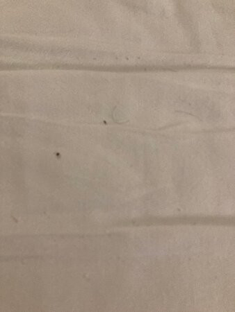 Best Western Plus Waterloo & Cedar Falls主图