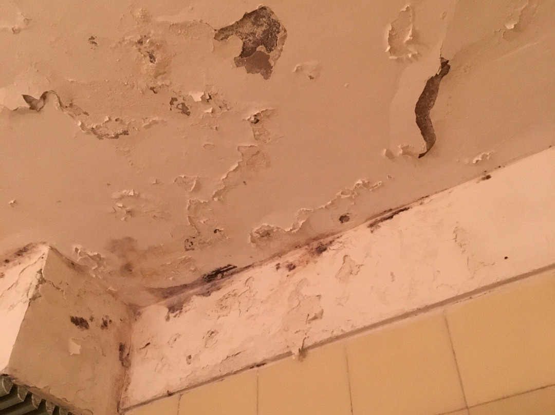 Hotel de la Paz主图