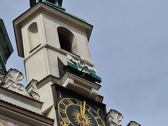 Koziolki Poznańskie  Ratusz-波兹南必去景点