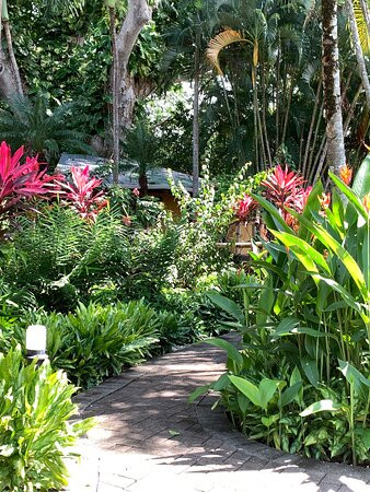 Hotel Flying Crocodile主图