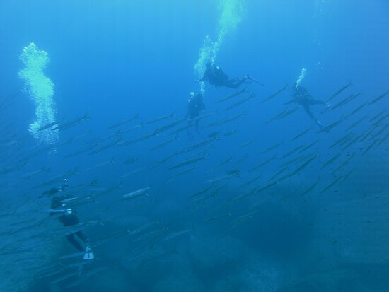 SubAquaDive Service-维拉西谬斯必去景点