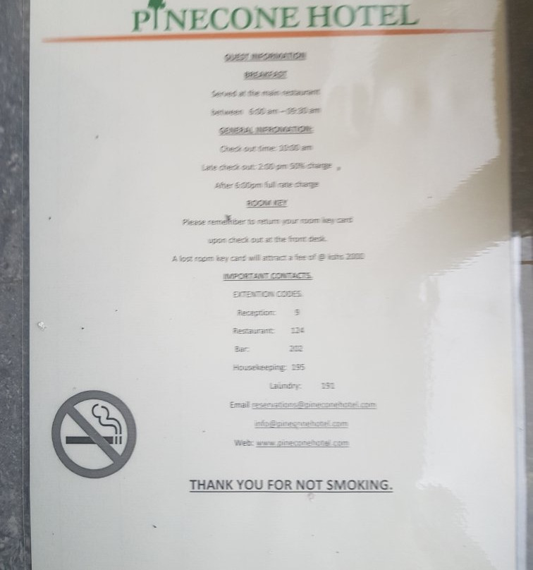 Pinecone Hotel主图