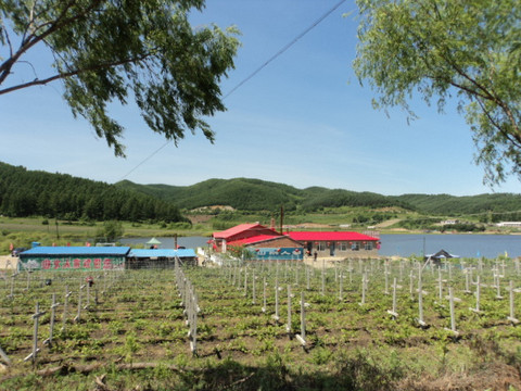 西大圈森林公园