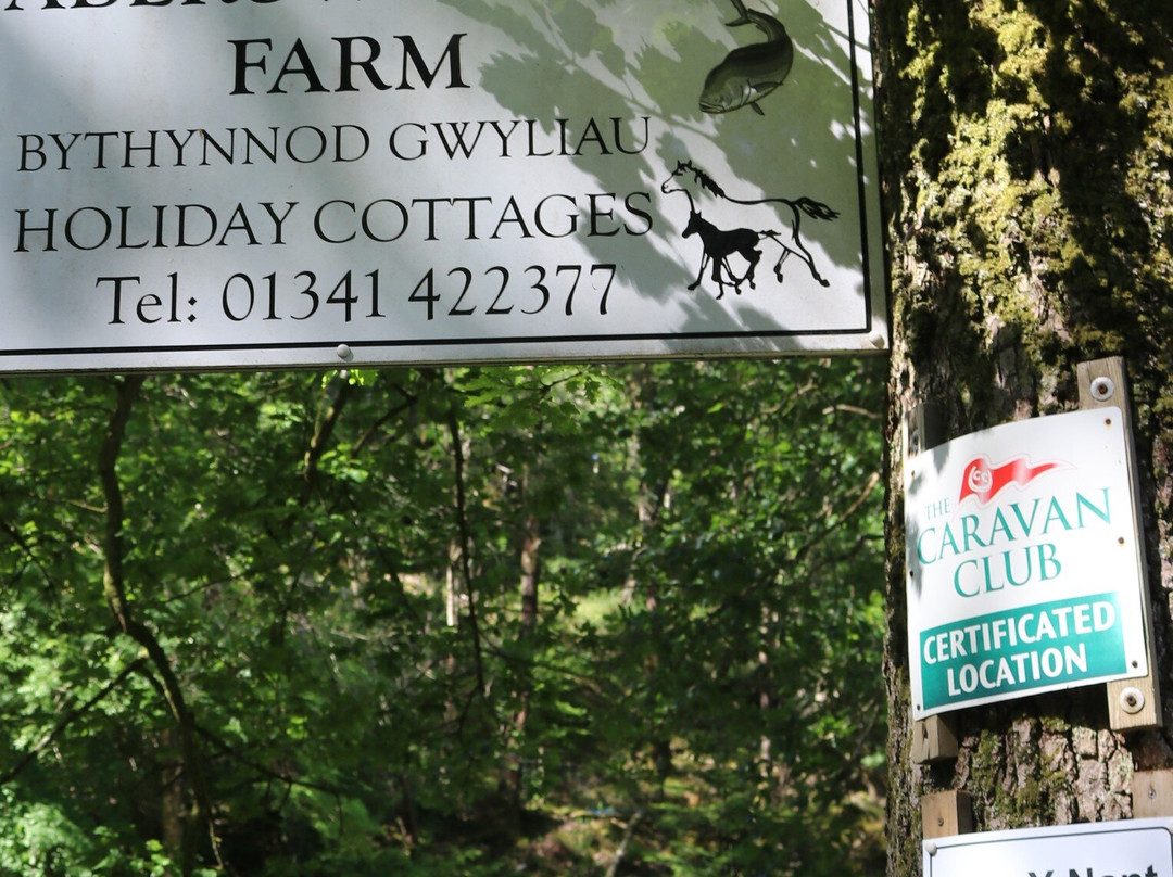 Abergwynant Campsite