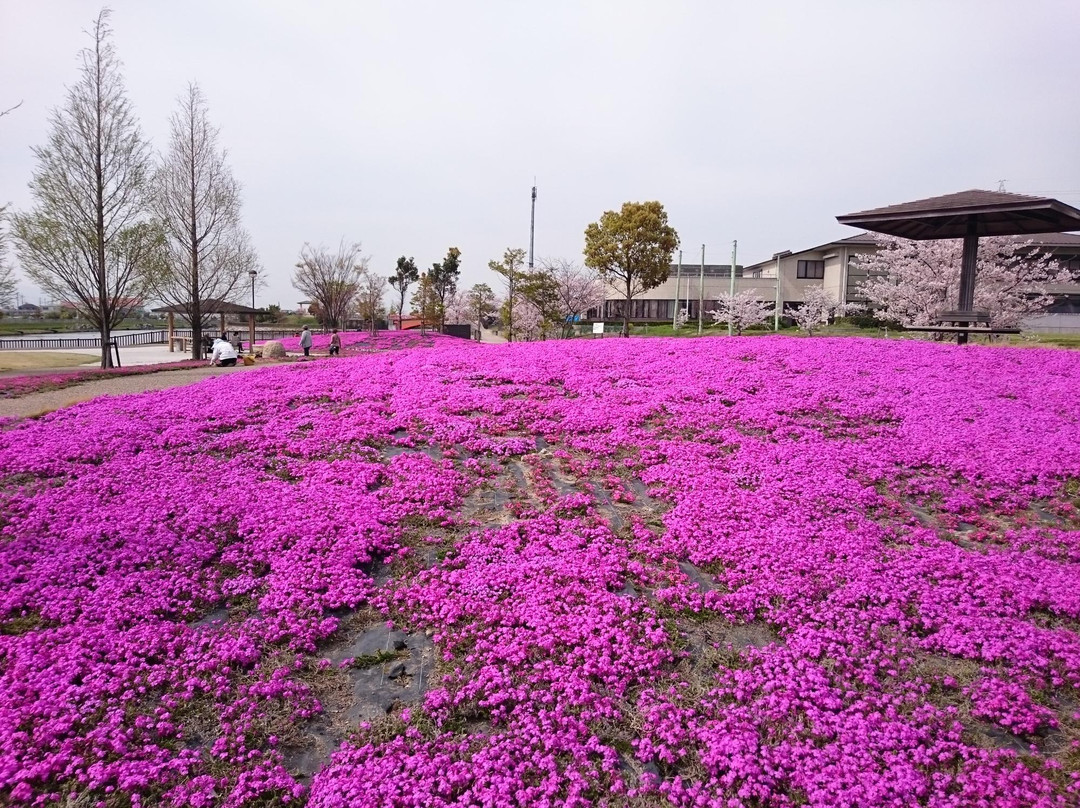 Mitsumata Pond Park景点图片