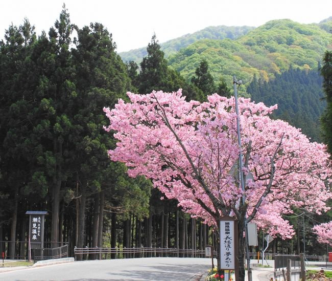最上郡 旅游攻略图片