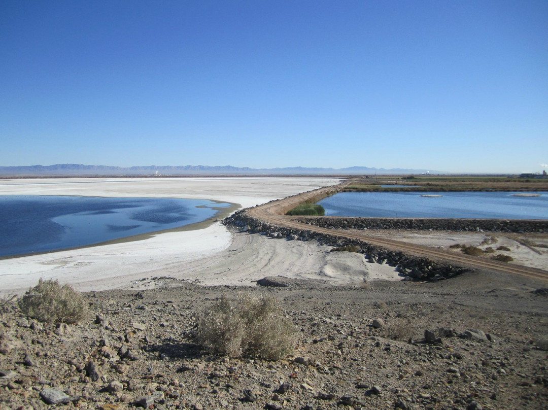 2024年7月Calipatria旅游景点攻略Calipatria旅游住宿,Calipatria旅游美食猫途鹰