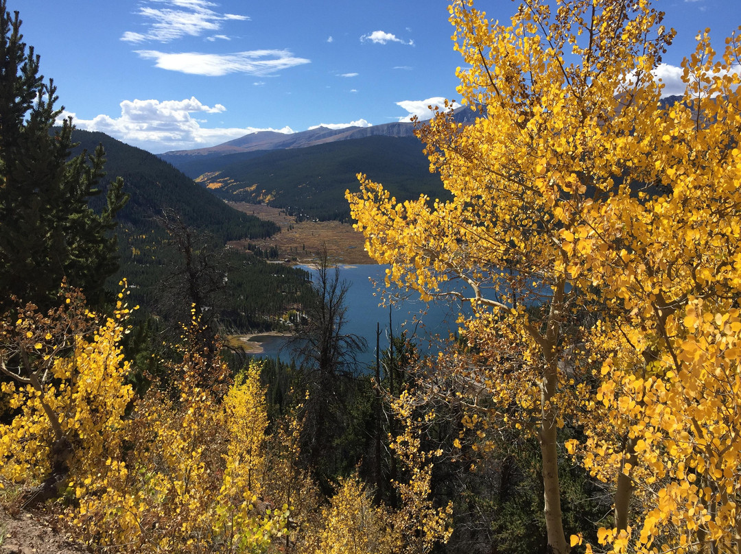 null-布雷肯里奇