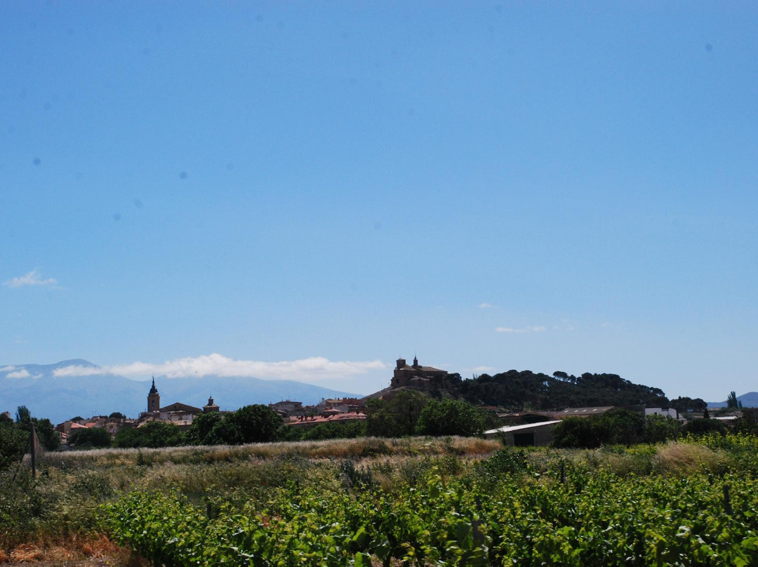 Cascante旅游攻略图片