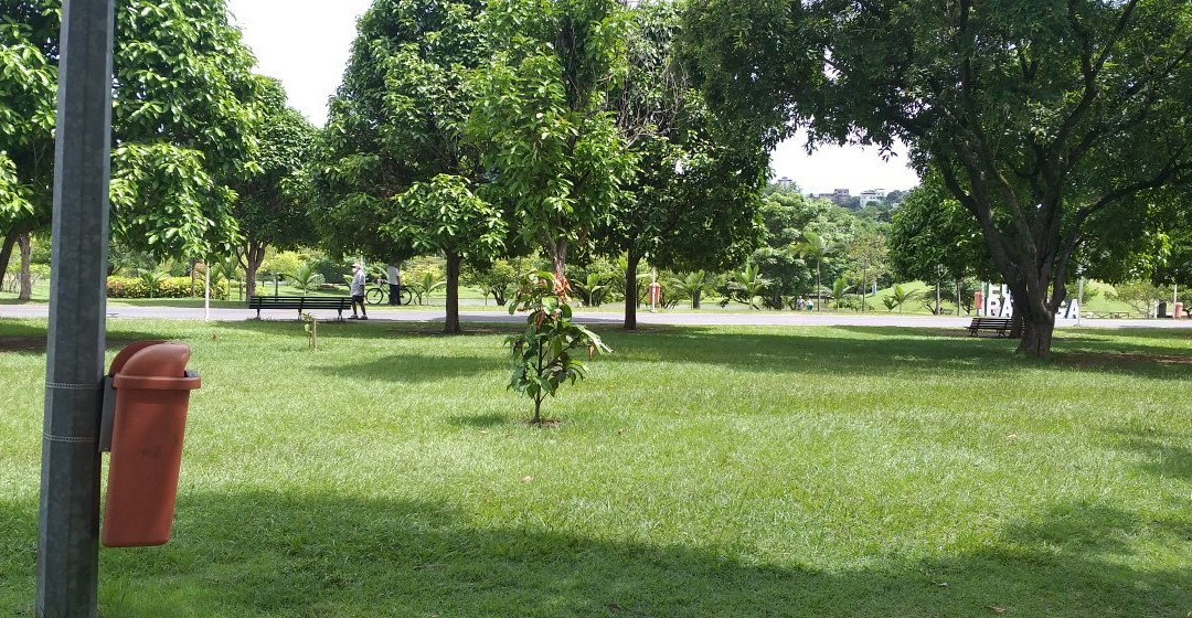 Parque Ipanema景点图片