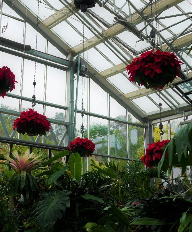 San Diego Botanic Garden景点图片