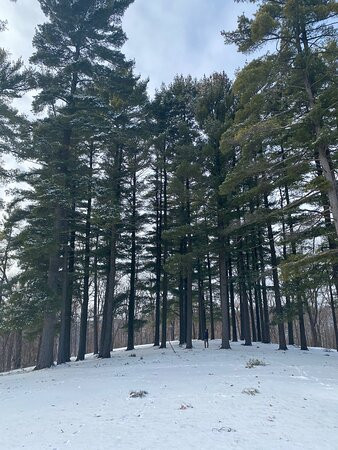 Mount Hosmer Park-Lansing必去景点