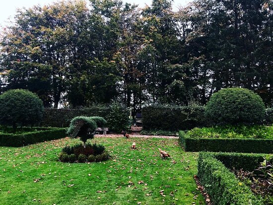 The Old Hall Country House主图