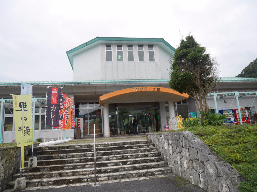 Roadside Station Amami Oshima Sumiyo