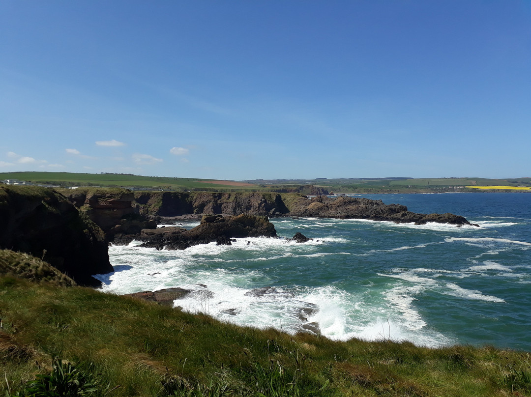 null-Eyemouth