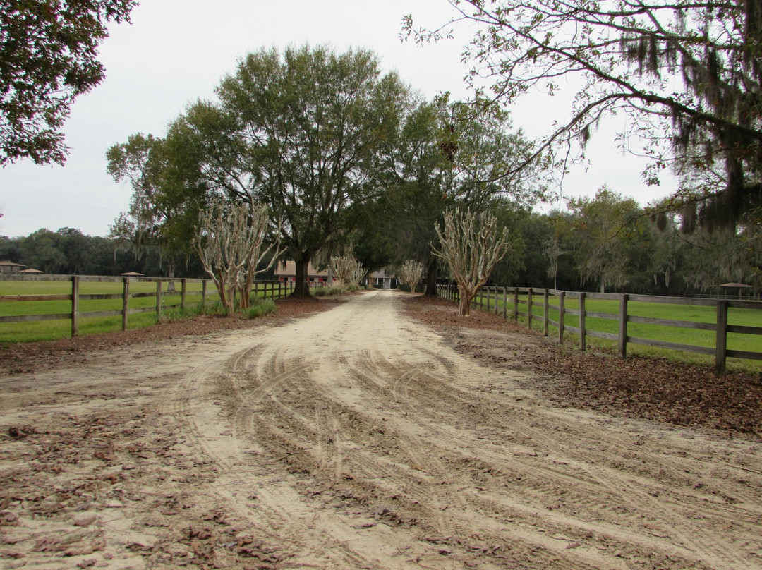 Yulee旅游攻略图片