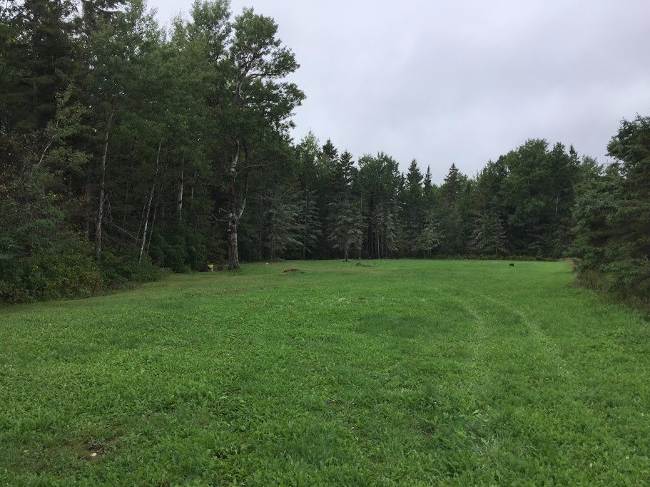 Rudyard旅游攻略图片