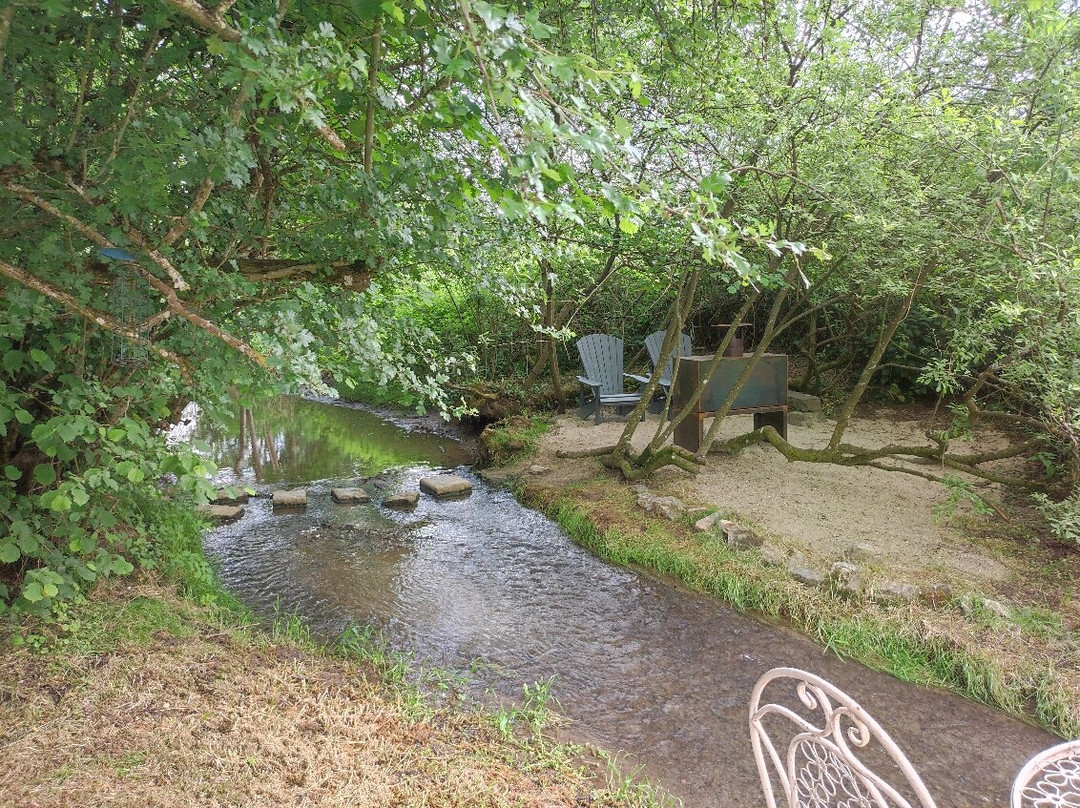 Nids Des Marais