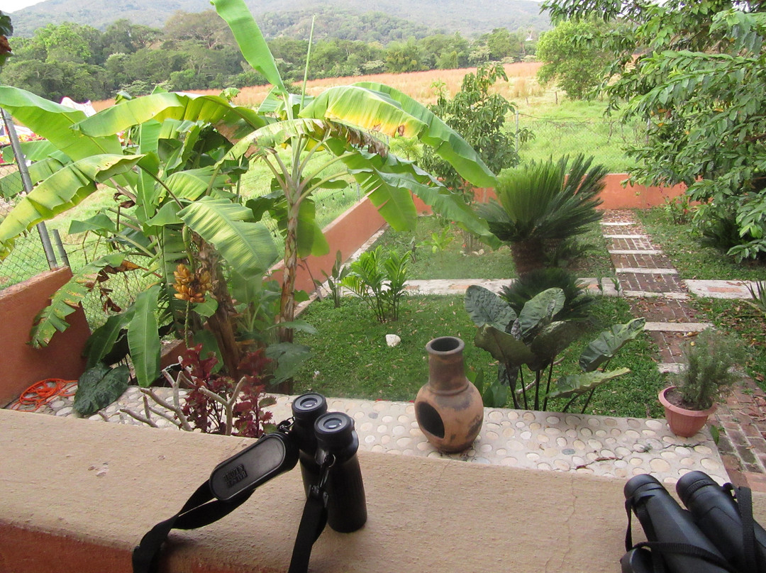 El Tuito旅游攻略图片