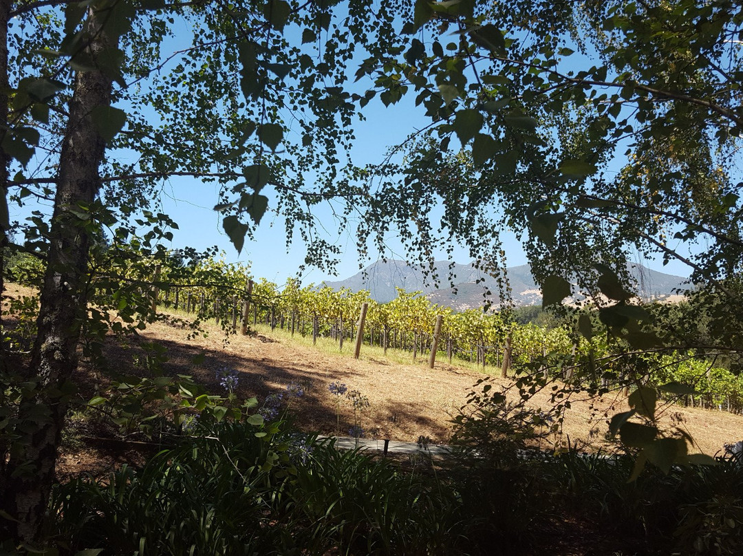 Storybook Mountain Vineyards景点图片