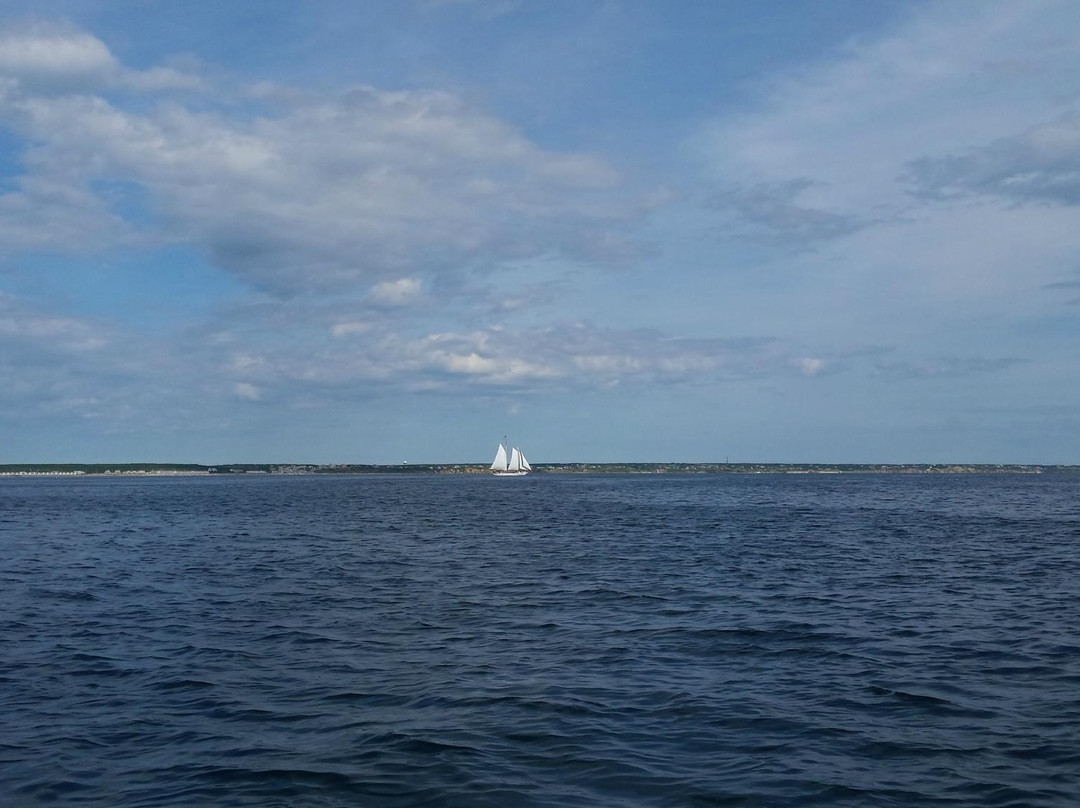 Dog Gone Sailing Charters景点图片