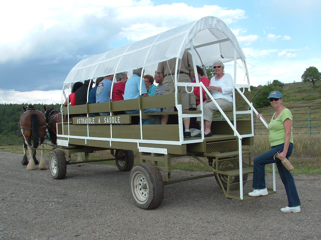 Astraddle A Saddle-帕戈萨斯普林斯必去景点