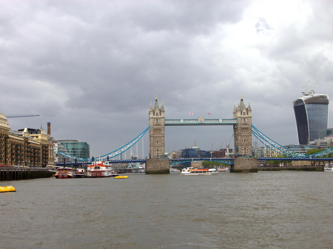 Thames River Tours -  Day Tours景点图片