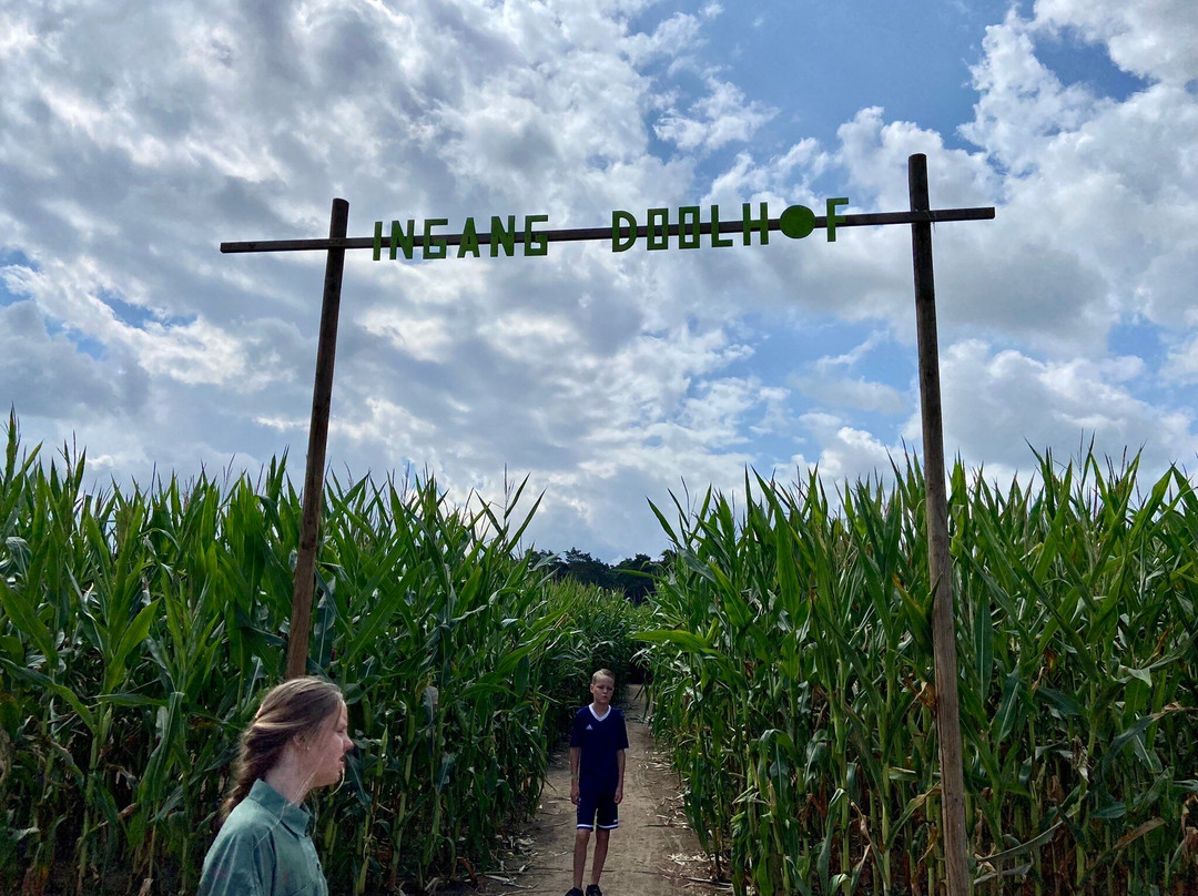 The Corn Maze-Peer必去景点