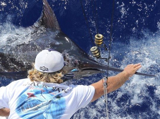 Kona Cowboy Sport Fishing