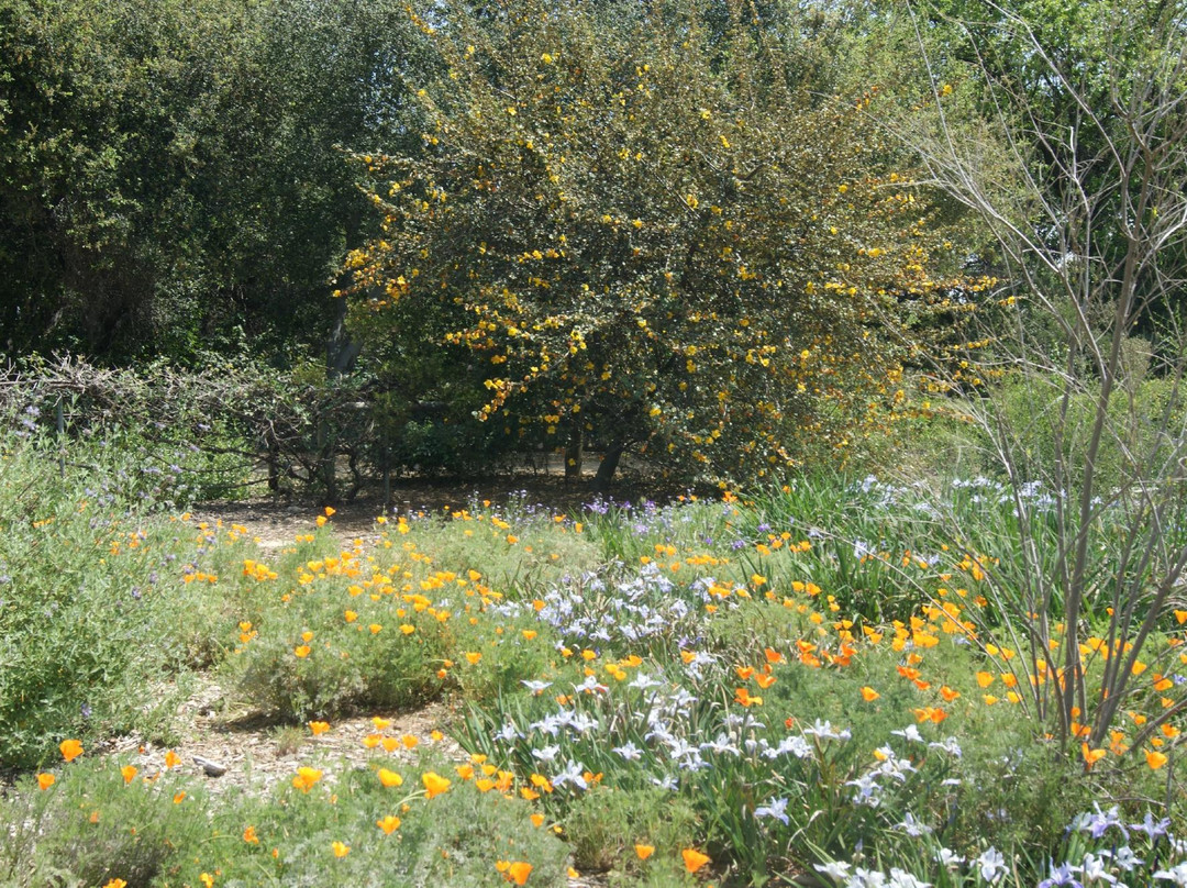 圣塔安那农场植物园景点图片