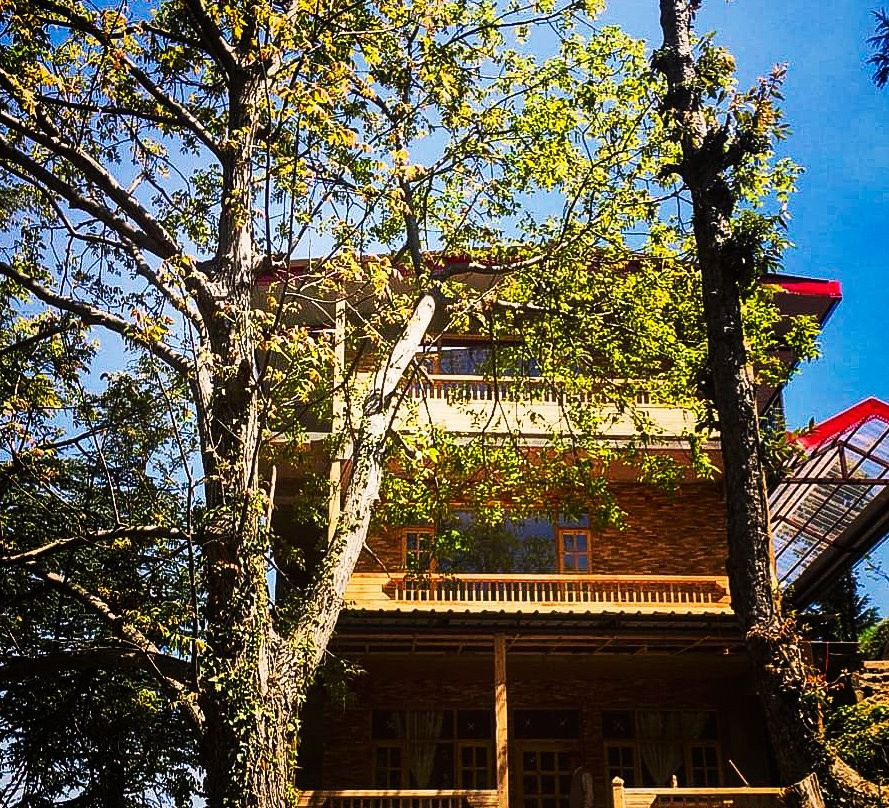 Janedghat酒店住宿-The Royal Swiss Cottage