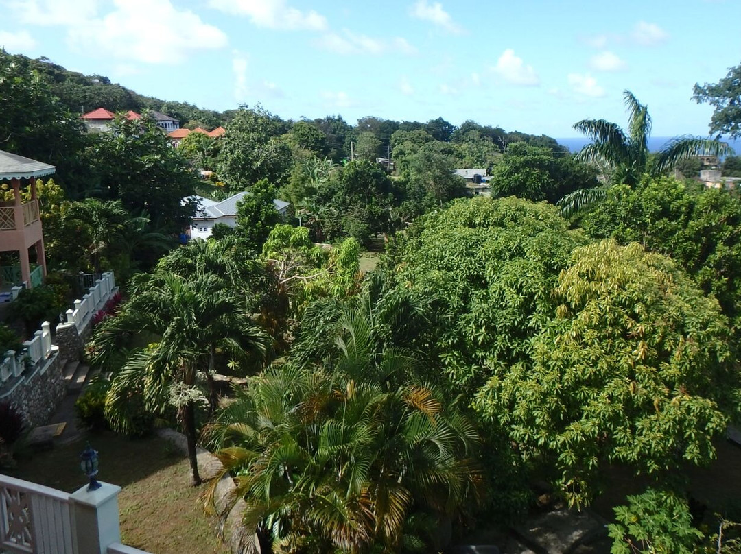 Pimento Lodge Resort主图